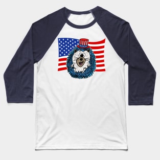 4th July Hedgehog American Flag Baseball T-Shirt